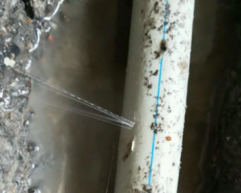 洛浦卫生间测漏水多少钱