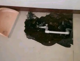 洛浦卫生间测漏水多少钱
